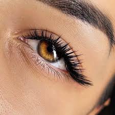 Classic Lashes