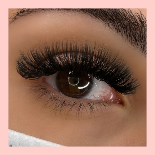 Volume Lashes
